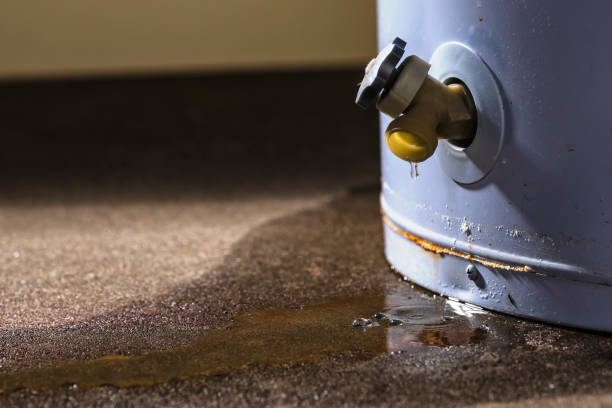  Belford, NJ Water damage restoration Pros