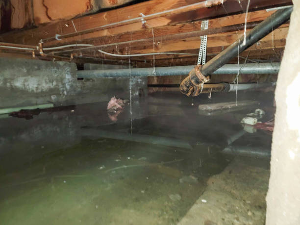 Best Emergency water damage restoration  in Belford, NJ