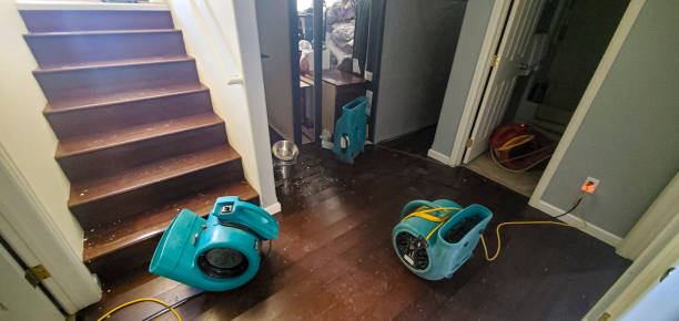 Best Residential water damage restoration  in Belford, NJ