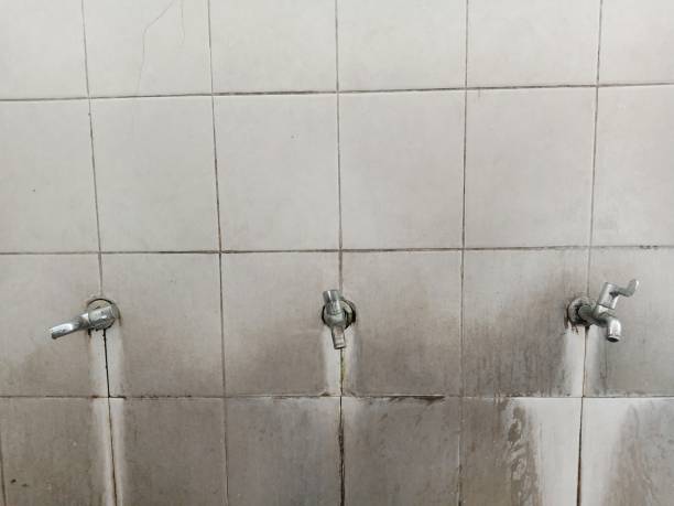 Best Mold removal after water damage  in Belford, NJ