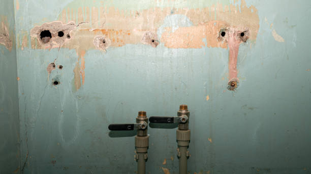 Best Professional water damage repair  in Belford, NJ