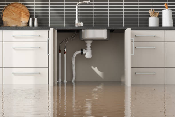 Best Basement water damage restoration  in Belford, NJ