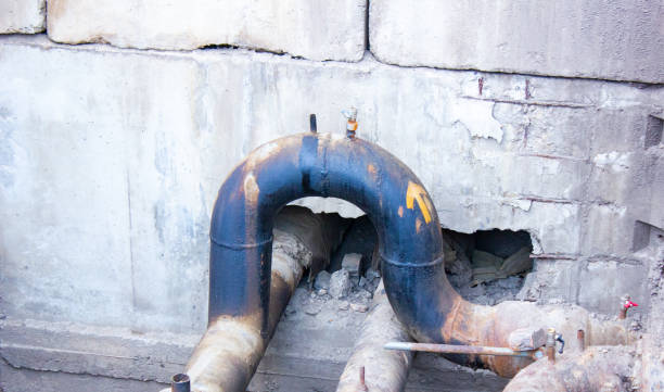 Best Water damage restoration services  in Belford, NJ