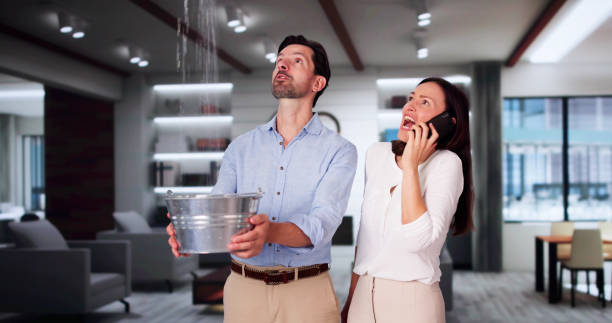 Best 24-hour water damage restoration  in Belford, NJ